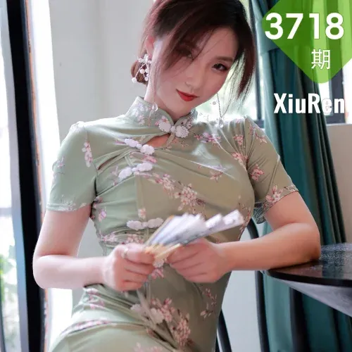 XiuRen 秀人 No.3718 韵味旗袍 刘艾琳Allen 性感写真3