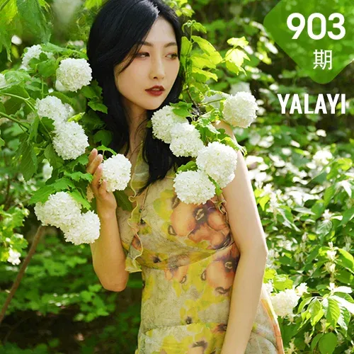 YALAYI 雅拉伊 Vol.903   佳佳 气息
